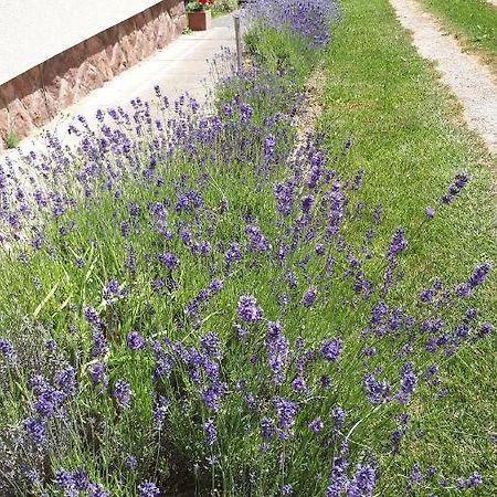 Kis Haz Apartman Zalacsány Buitenkant foto